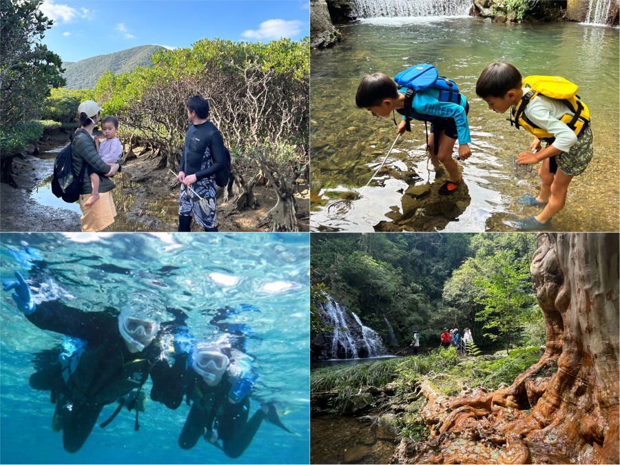 【奄美大島/1日】1組貸切で海・山・滝・川を満喫！シュノーケリング＆神秘の滝で川遊び1日ツアー《ツアー内容リクエストOK・写真データプレゼント・送迎付き》（No.61）