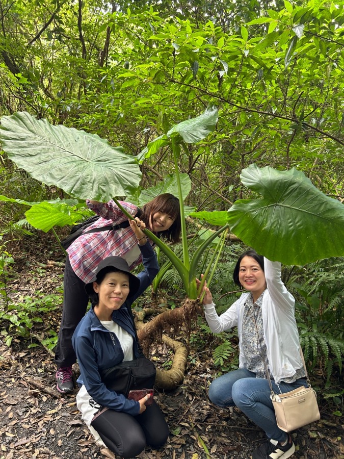 【奄美大島/1日】1組貸切で海・山・滝・川を満喫！シュノーケリング＆神秘の滝で川遊び1日ツアー《ツアー内容リクエストOK・写真データプレゼント・送迎付き》（No.61）