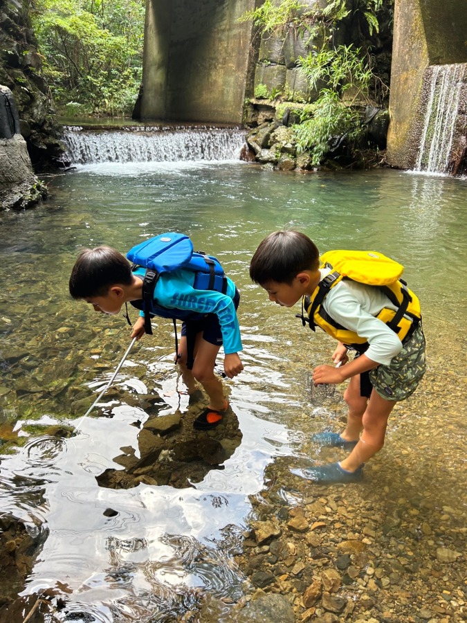 【奄美大島/1日】1組貸切で海・山・滝・川を満喫！シュノーケリング＆神秘の滝で川遊び1日ツアー《ツアー内容リクエストOK・写真データプレゼント・送迎付き》（No.61）