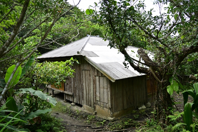 奄美大島の中心地「名瀬」ってどんなところ？人気の観光スポットやおすすめのツアーをご紹介