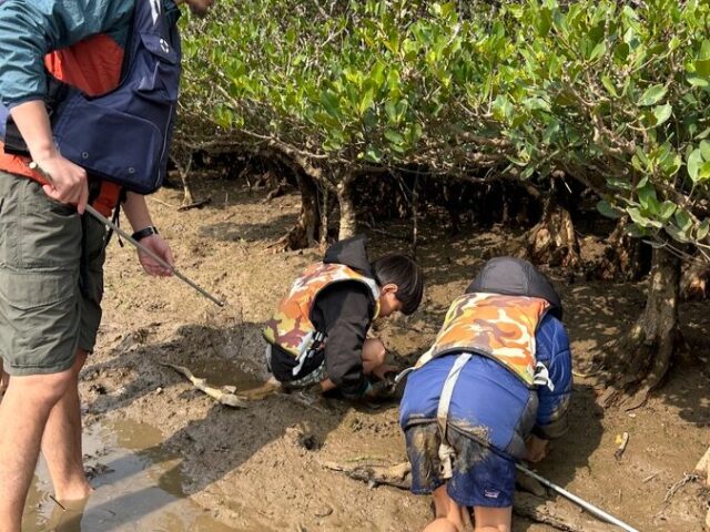 生き物、子供、