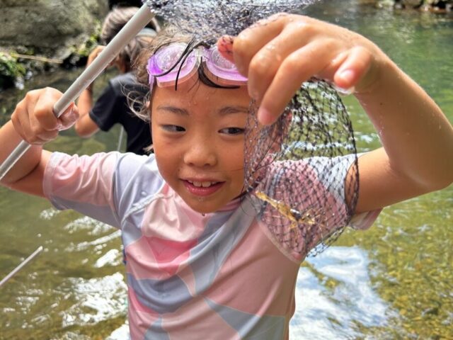 子供、エビ取り、川遊び、生き物