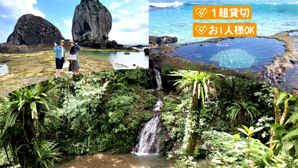 【奄美大島/半日or1日/貸切】癒しの奄美を巡る♪貸切ネイチャーヒーリングツアー《写真＆動画撮影あり・女性ガイドがご案内》（No.147）