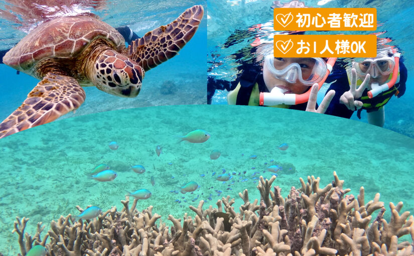 半日ビーチシュノーケリング_TOP