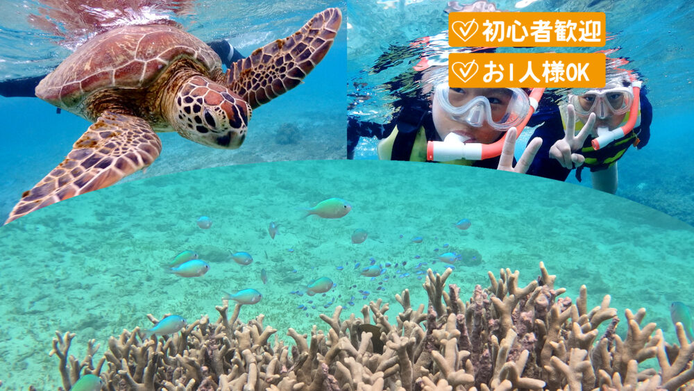 【奄美大島・半日】お1人様から参加可能♪ビーチシュノーケリングツアー《女性ガイドがご案内！極上の海時間》写真＆動画撮影無料（No.150）