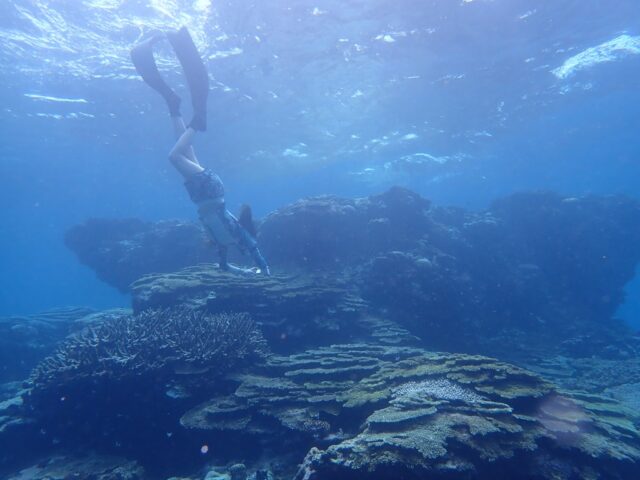 スキンダイビング