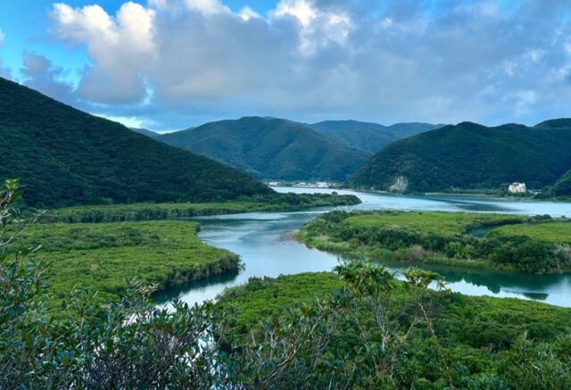 奄美大島が世界自然遺産に登録された理由とは？旅行中の注意点やおすすめのアクティビティをご紹介！