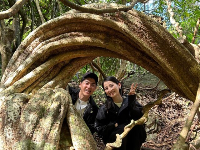 世界最大の豆、モダマ