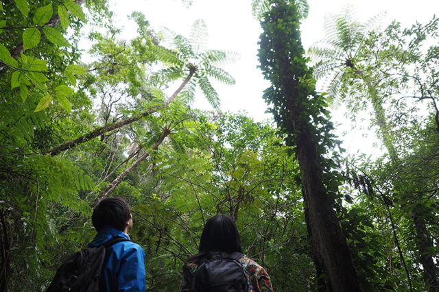 金作原、トレッキング