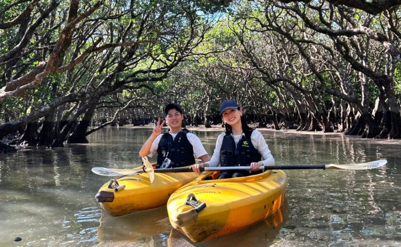 奄美大島 現地ツアー　カヌー、マングローブ