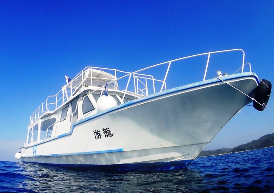 【奄美北部/1月〜3月限定】遭遇率95%以上！1日たっぷり満喫＜ランチ付＞★ホエールウォッチングツアー（No.16）