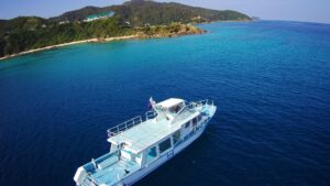【奄美北部/1～3月限定☆/半日】遭遇率95％以上！ザトウクジラに会いに行こう！＜期間限定＞ホエールウォッチングツアー