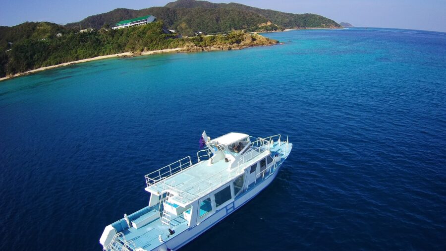 【奄美北部/1月〜3月限定】遭遇率95%以上！1日たっぷり満喫＜ランチ付＞★ホエールウォッチングツアー（No.16）