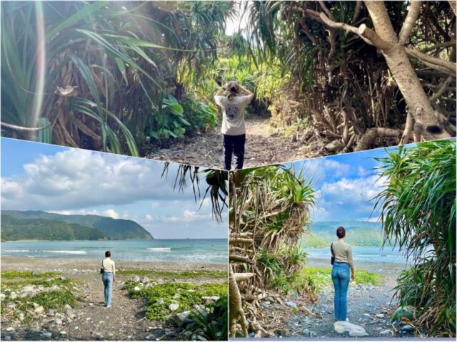 奄美大島の自然を満喫！絶対に行きたい癒しの絶景スポット＆アクティビティ