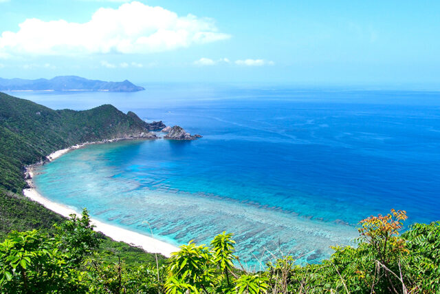 【加計呂麻島/半日】0歳から参加OK◎のんびり島時間とレトロ風景を楽しむ加計呂麻島散策ツアー☆〈ガイド同行・前日までキャンセル無料〉