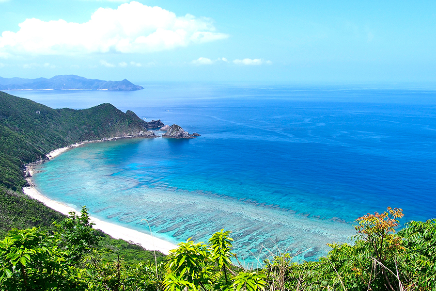 【加計呂麻島/半日】0歳から参加OK◎のんびり島時間とレトロ風景を楽しむ加計呂麻島散策ツアー☆〈ガイド同行・前日までキャンセル無料〉（No.178）