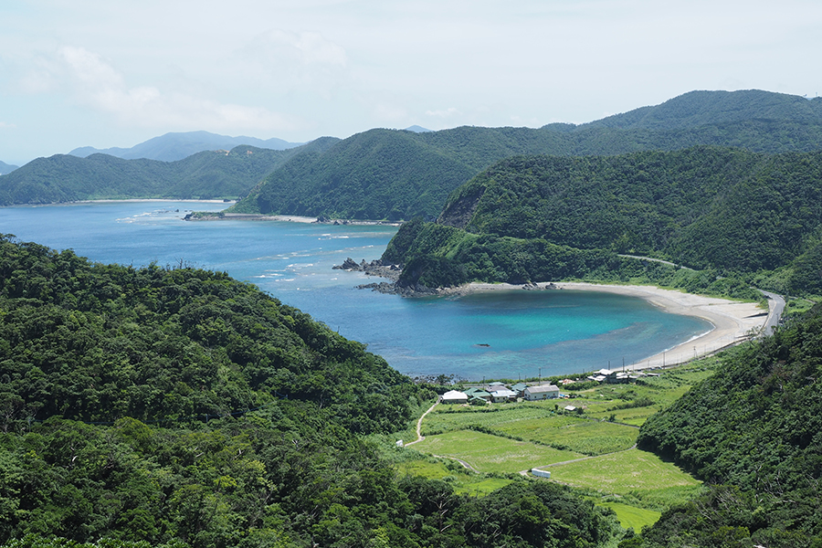 【加計呂麻島/半日】0歳から参加OK◎のんびり島時間とレトロ風景を楽しむ加計呂麻島散策ツアー☆〈ガイド同行・前日までキャンセル無料〉（No.178）