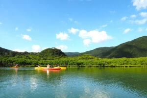 マングローブカヌー＆森・滝の自然満喫トレッキングツアー