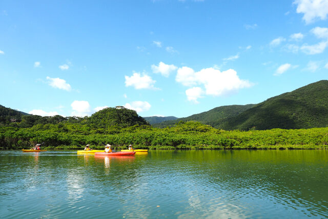 マングローブカヌー&森・滝の自然満喫トレッキングツアー