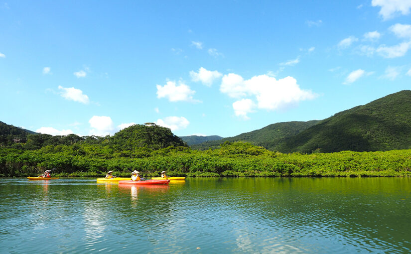 マングローブカヌー＆森・滝の自然満喫トレッキングツアー
