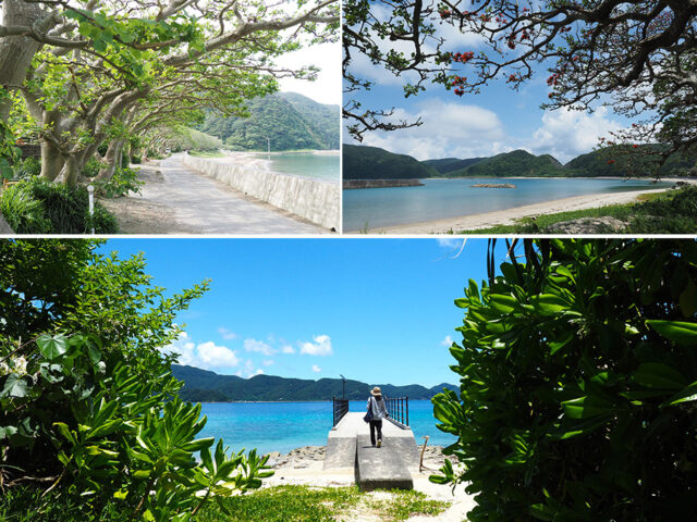 【加計呂麻島/1日】0歳から参加OK◎のんびり島時間とレトロ風景を楽しむ加計呂麻島散策ツアー☆〈ガイド同行・前日までキャンセル無料〉