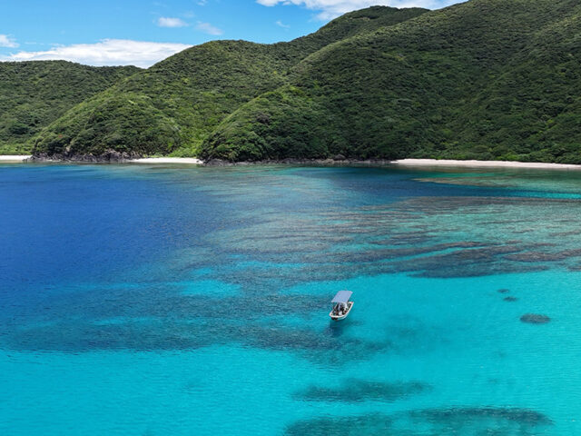 加計呂麻島の透明な海で楽しむシュノーケリングツアー