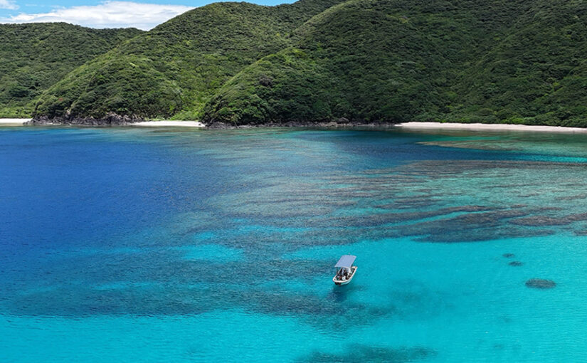 加計呂麻島の透明な海で楽しむシュノーケリングツアー