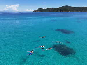 透明度抜群の海を満喫する加計呂麻島シュノーケリング体験