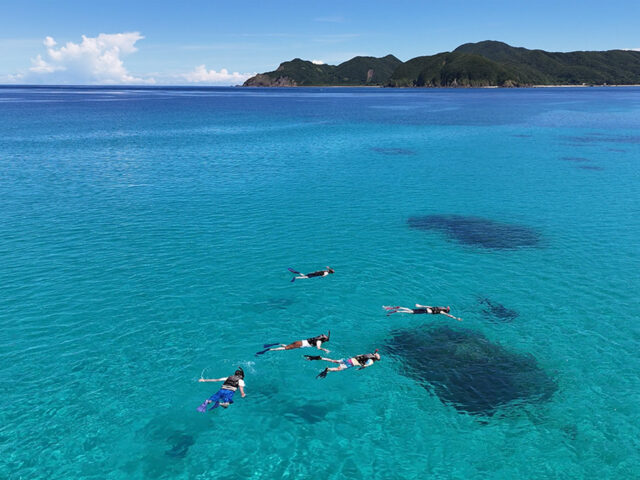 透明度抜群の海を満喫する加計呂麻島シュノーケリング体験