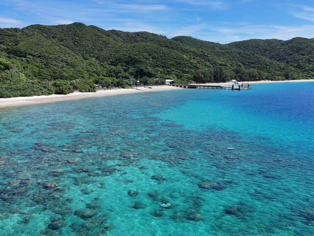 透明度抜群の海を満喫する加計呂麻島シュノーケリング体験