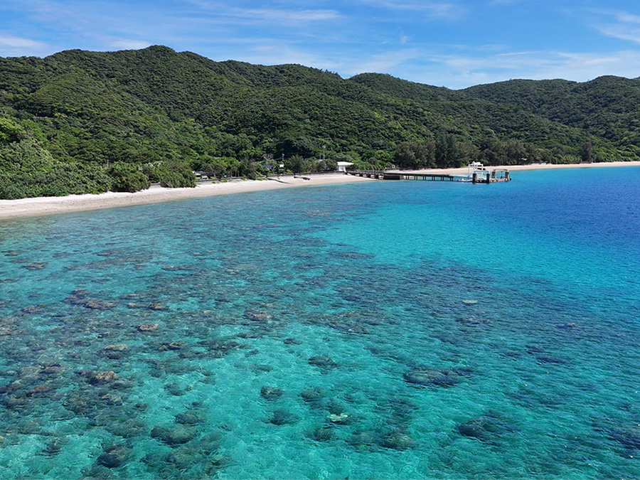 【加計呂麻島/6時間】のんびり島時間を味わおう☆加計呂麻島シュノーケリング＆散策・日帰りツアー〈自由時間あり・前日までキャンセル無料〉（No.182）