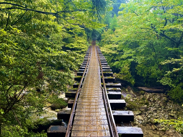 奄美大島と屋久島どっちに行くべき？！絶景・アクセス・予算・人気ツアーまで徹底比較！