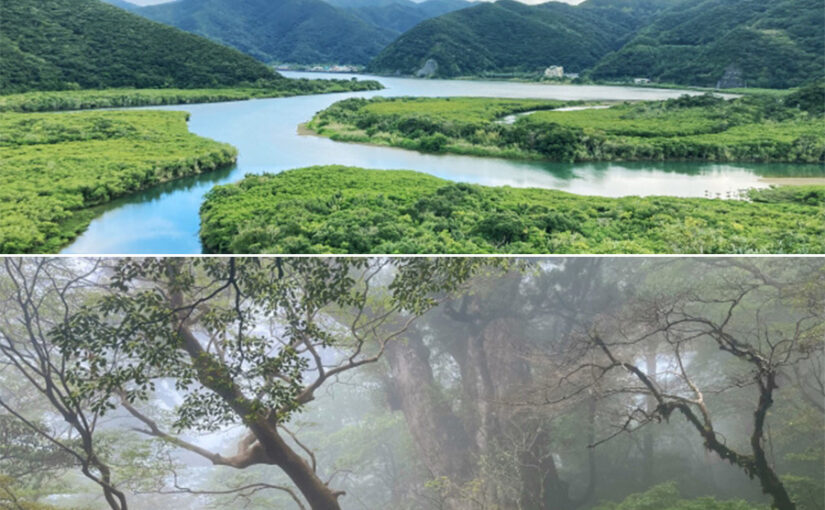 奄美大島＆屋久島