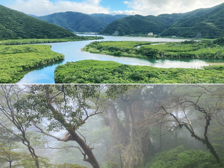 奄美大島＆屋久島