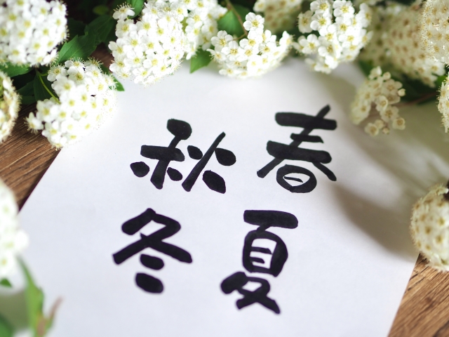 奄美大島の植物とおすすめ観察ポイントを完全ガイド！季節別の見頃もご紹介