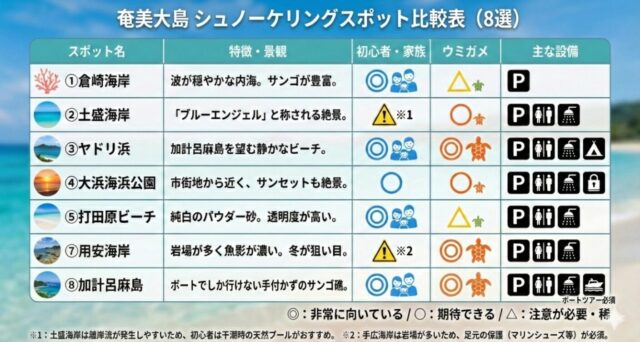 奄美大島　シュノーケリングスポット