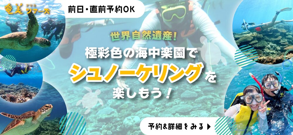 奄美シュノーケリングKV_pc