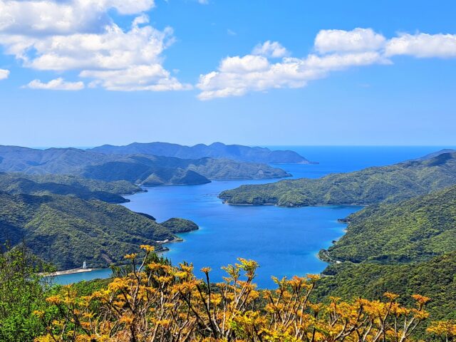 湯湾岳展望公園