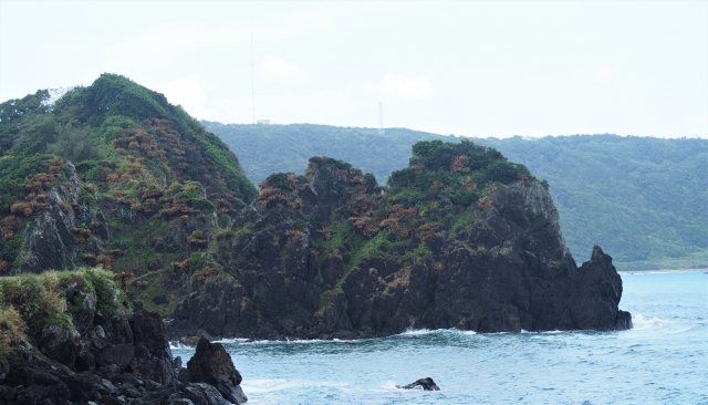 奄美大島の海岸、津波のリスクがある地域