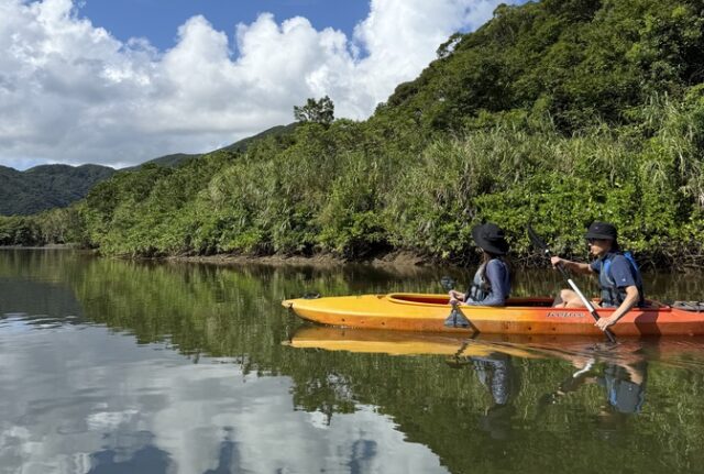 マングローブカヌー