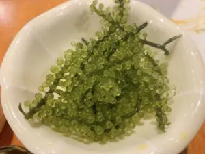 沖縄　道の駅　海ぶどう