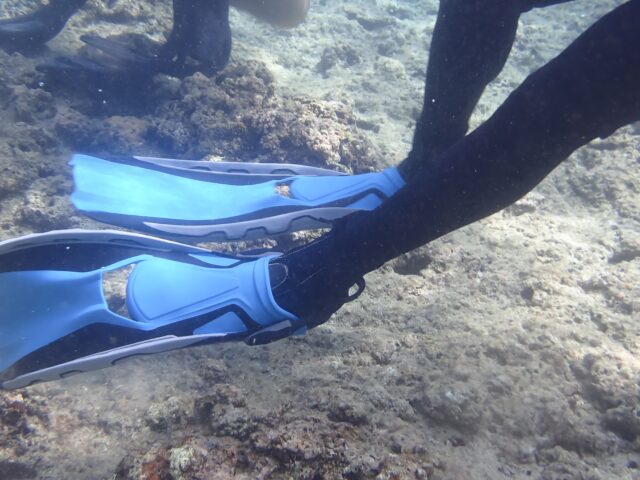 奄美大島でスキンダイビングを楽しむ足元のフィン