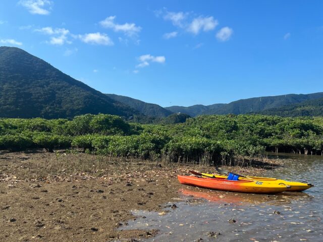 干潮時のカヌーツアー