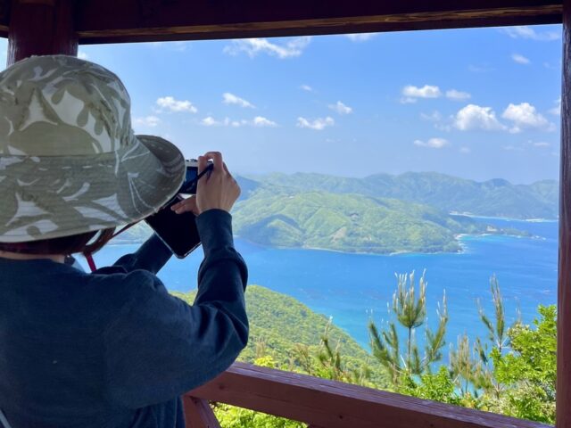 海