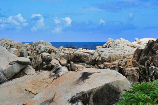 徳之島 ムシロ瀬