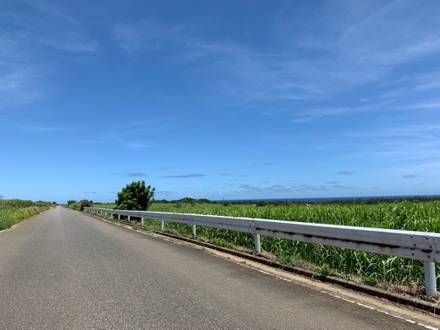 旅行 観光 黒糖 焼酎