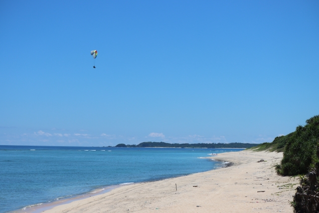 パラグライダー　海　危ない