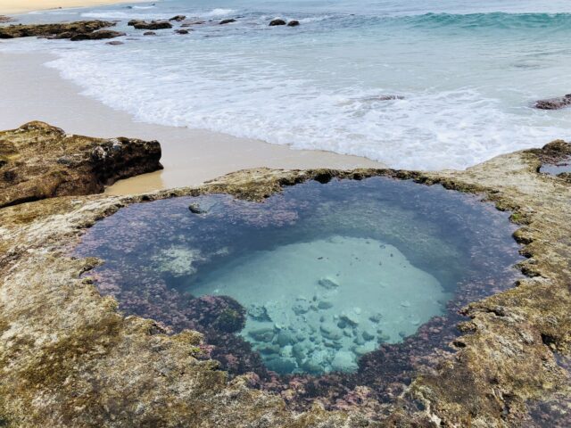 ハートロック 正面 低いアングル