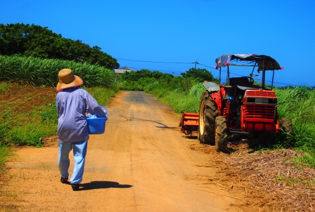 島 農業