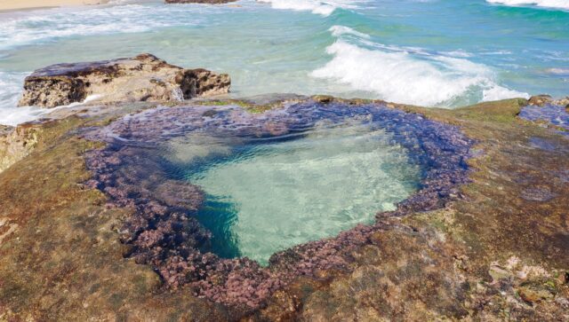 ハートロック 正面